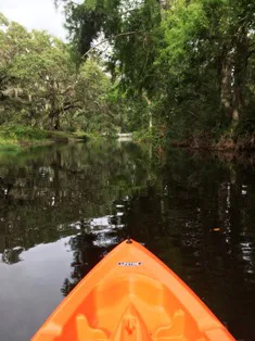 Moss Park in Orlando